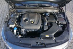 
										2.0*163KM*Automat*Navi*Kamera*72500km* full									