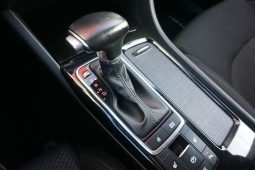 
										2.0*163KM*Automat*Navi*Kamera*72500km* full									